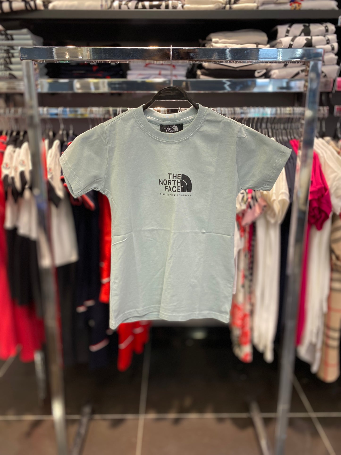 North Face T-shirt Mint
