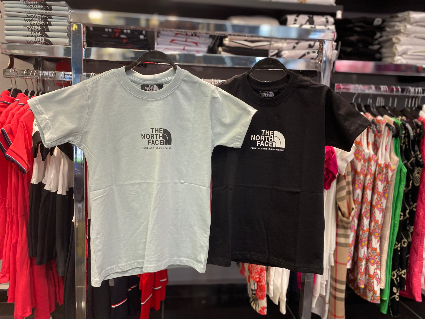 North Face T-shirt Mint